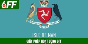 Giấy phép hoạt động 6FF