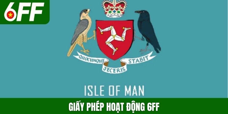 Giấy phép hoạt động 6FF