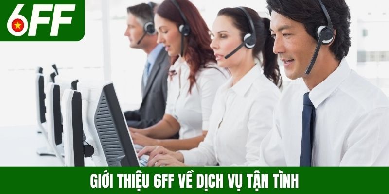 Giới thiệu 6FF về dịch vụ tận tình